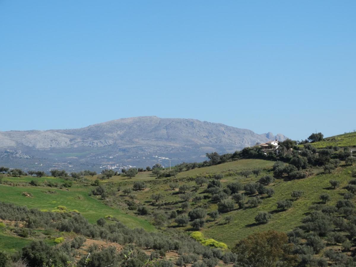 B&B Cortijo Loma Leon Cutar エクステリア 写真
