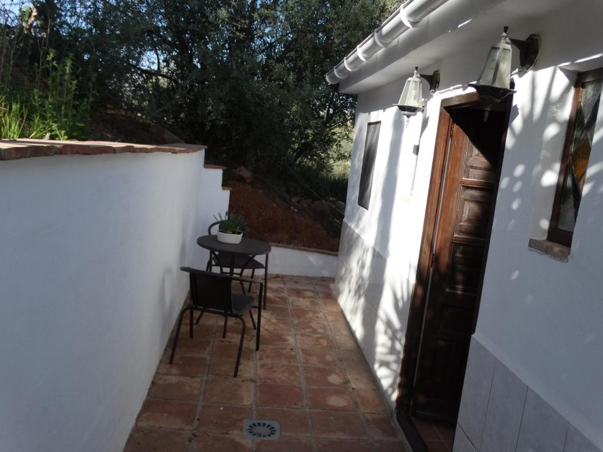 B&B Cortijo Loma Leon Cutar エクステリア 写真