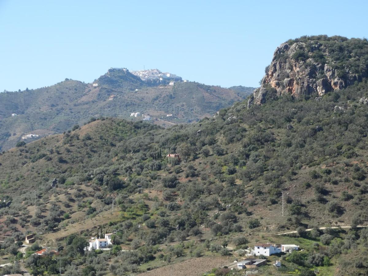 B&B Cortijo Loma Leon Cutar エクステリア 写真