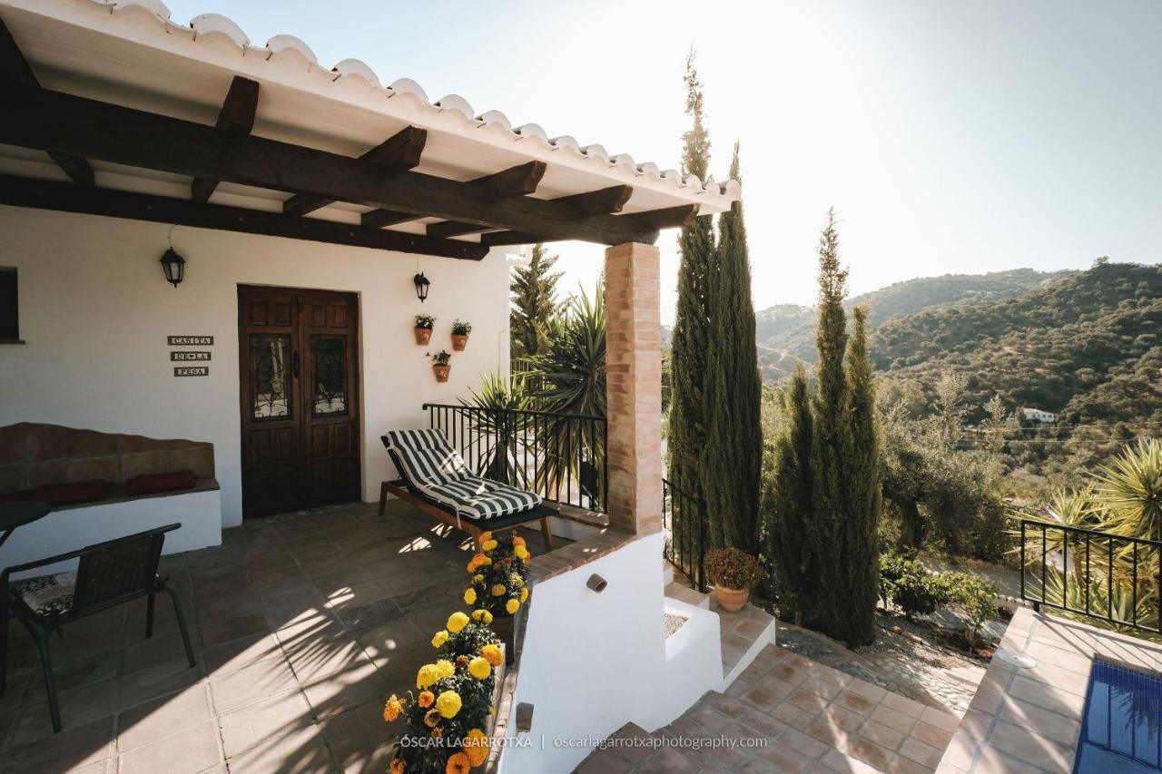 B&B Cortijo Loma Leon Cutar エクステリア 写真