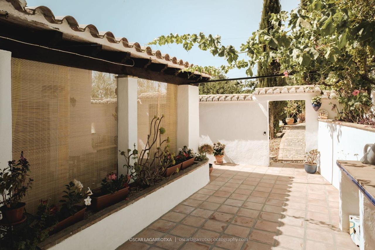 B&B Cortijo Loma Leon Cutar エクステリア 写真